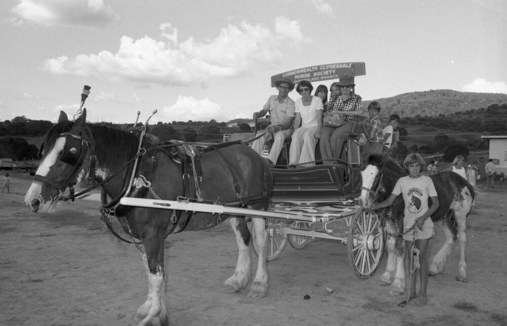 The Commonwealth Clydesdale Horse Society Queensland Branch coach at an unidentified horse event, Ipswich, February 1978