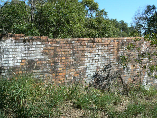 Wall remnant at Brynhyfryd site, ca.2022