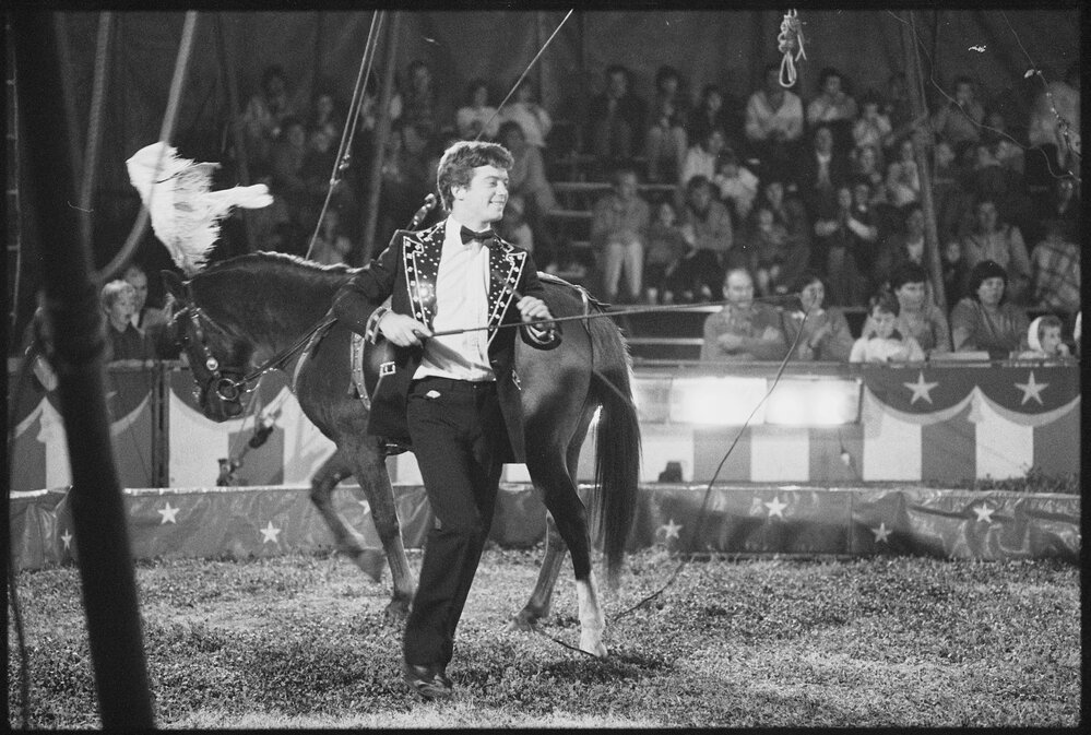 Unidentified horse handler and horse at circus act, Ipswich, July 1985