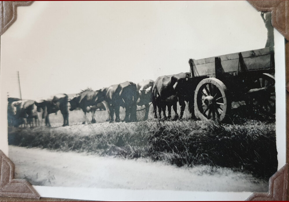 Bullock team - Elliott family business