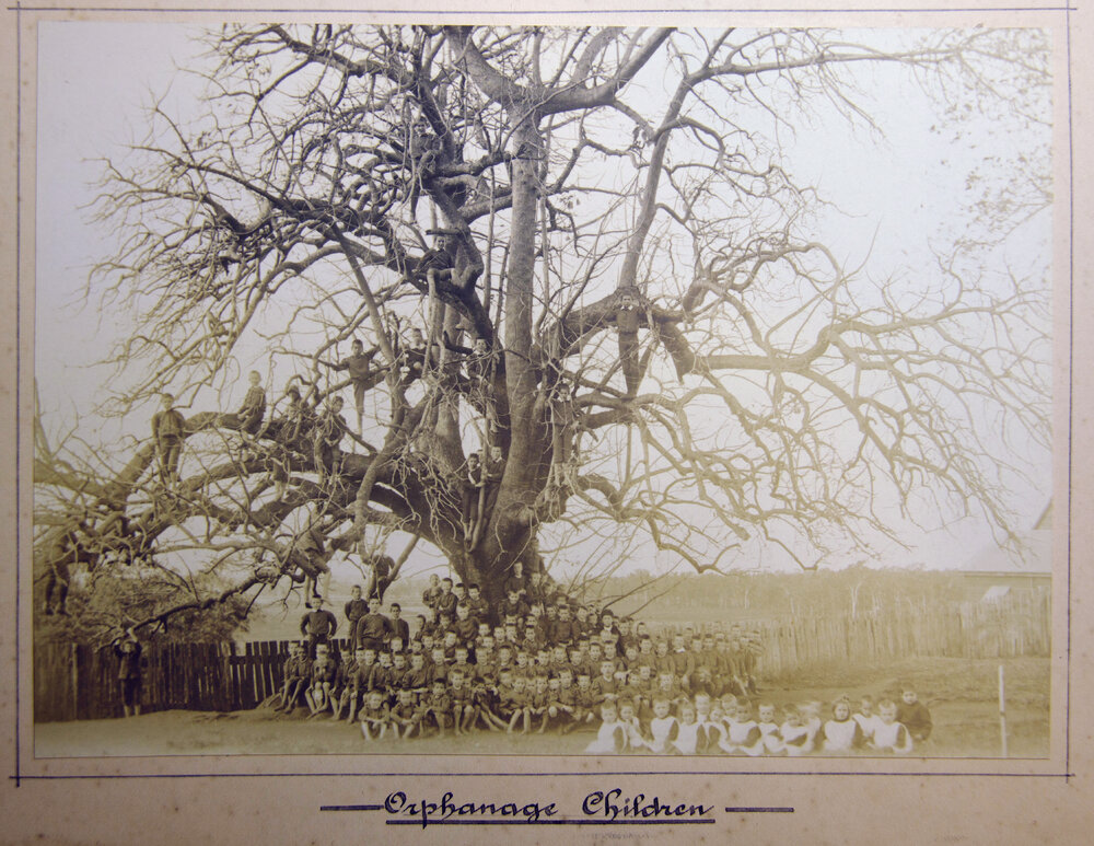 Thought to be children at the St Vincent orphanage, Nudgee, 1904