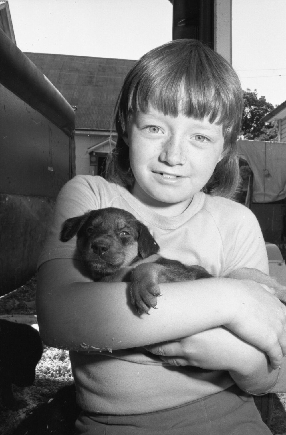 Boy holding a Rottweiler puppy, thought to be Brassall State School fete, Brassall, 19th October 1977