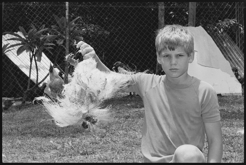 Unidentified young boy holding a dead chicken, Ipswich, January 1986