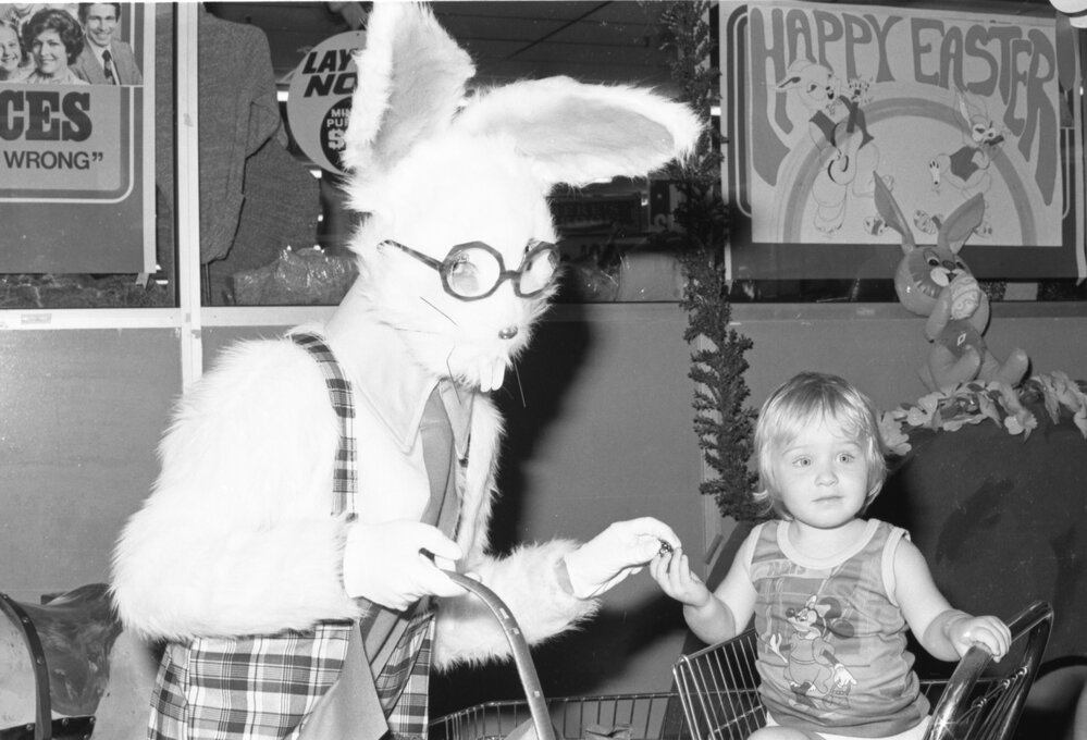 The Big W Easter Bunny giving a young child an Easter Egg, Booval, Ipswich, March 1978
