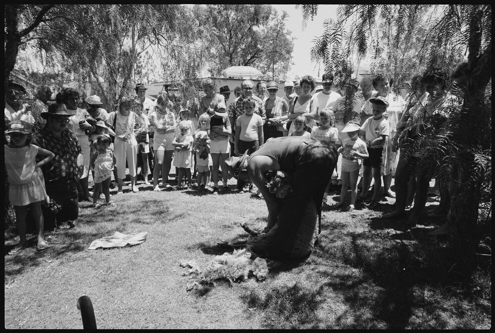 Spectators watching a sheep shearing demonstration, Ipswich, January 1986