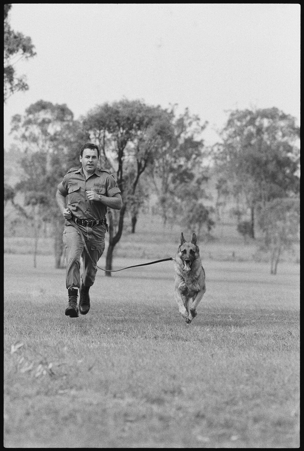 RAAF Serviceman Reynolds with RAAF Service Dog at RAAF Base Amberley, Amberley, Ipswich, January 1986