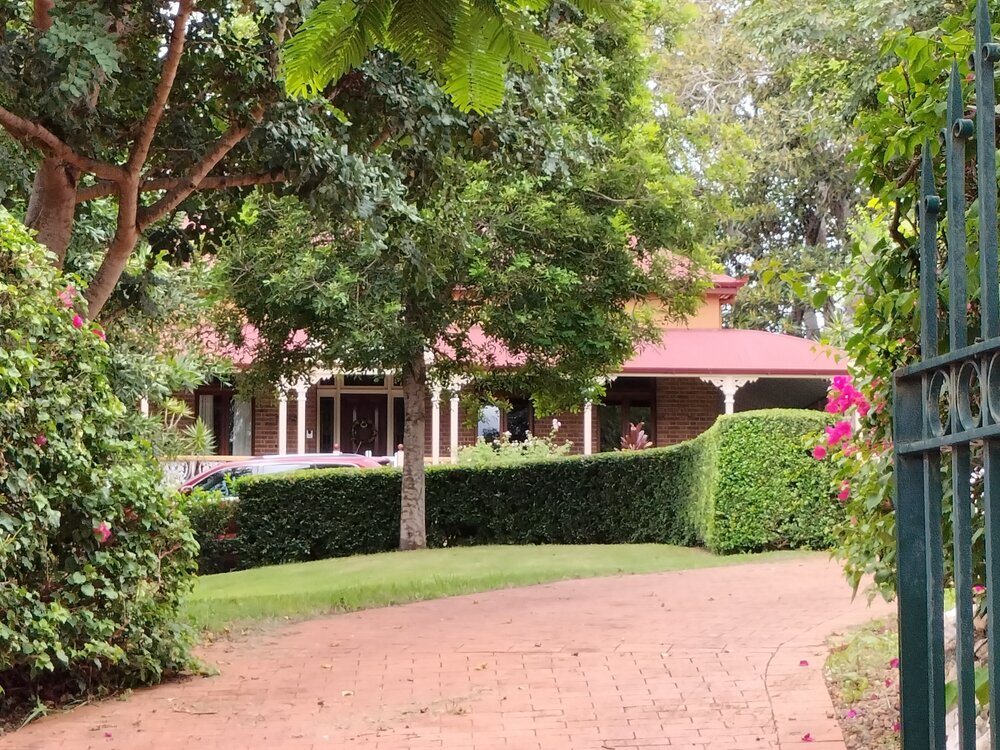 Karragaroo Trees and Mature Vegetation, Karragaroo Street, No. 8, Eastern Heights, Ipswich, 2024