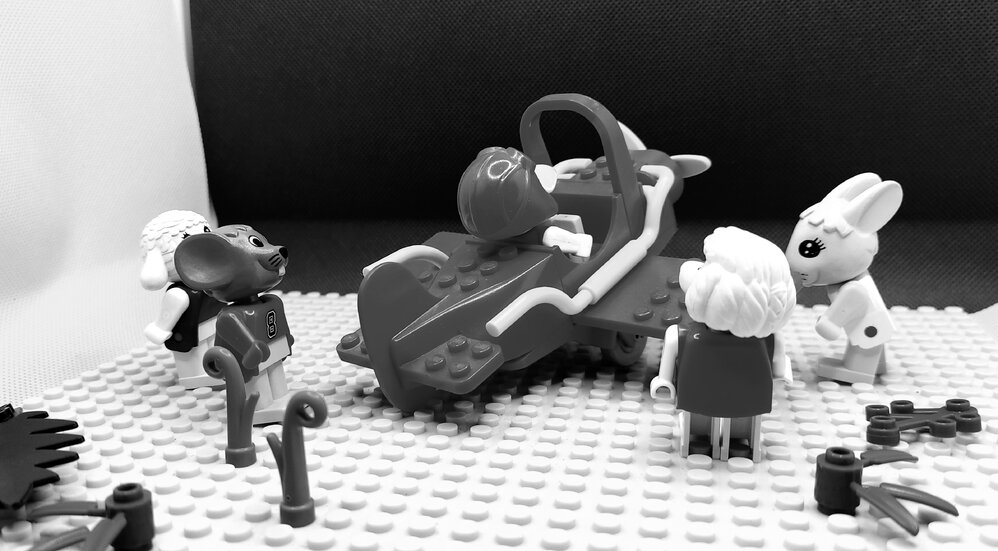 Brickswich version of Aeroplane before crash, near Rosewood, from c.1935