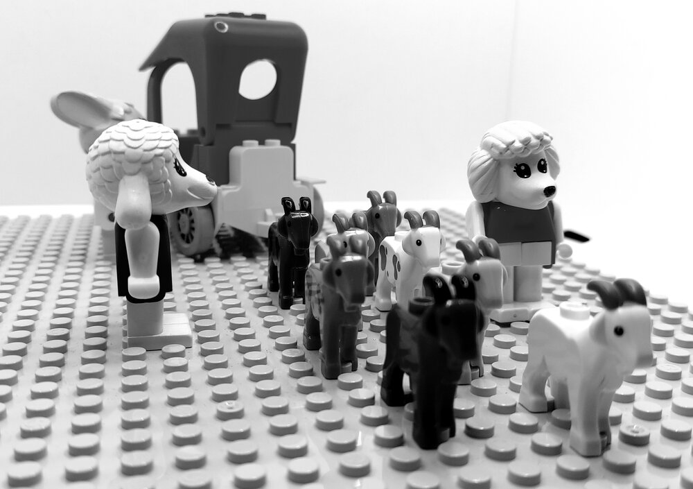 Brickswich version of Goats pulling a car stuck in mud, Ipswich district, from 1900s