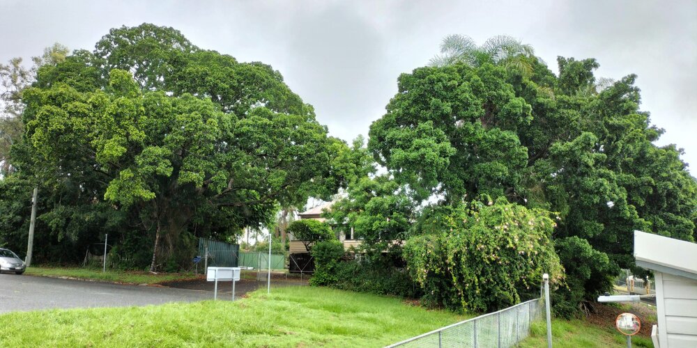 Fig Trees, Station Road, Nos. 16-20, Riverview, Ipswich, 2024