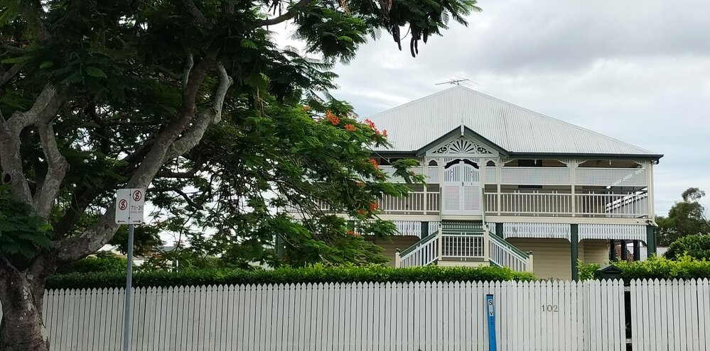 Poinciana Trees and Dwelling, Wildey Street, No. 102, Wildey Street. 