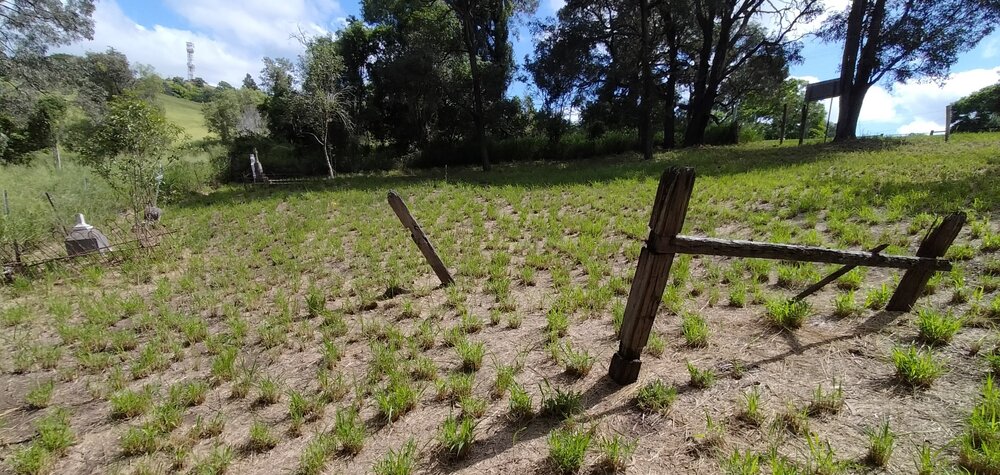 Pioneer Catholic Cemetery, Tallegalla&ndash;Two Tree Hill Road, Nos. 146&ndash;170, Tallegalla, Ipswich, 2024