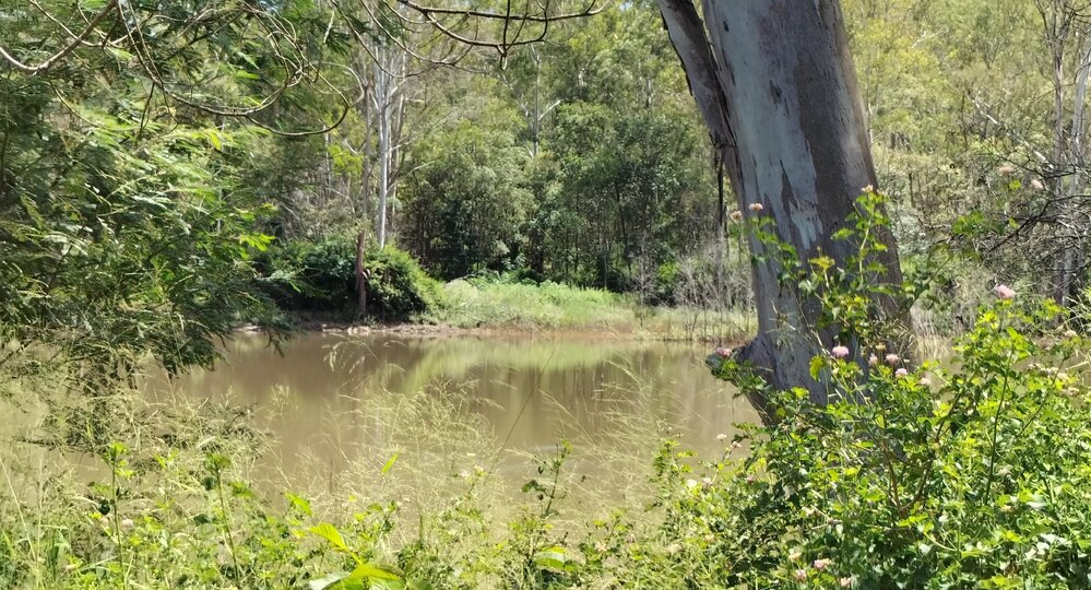 Railway Dam, and Weir, Long Gully Road, Grandchester, Ipswich, 2024