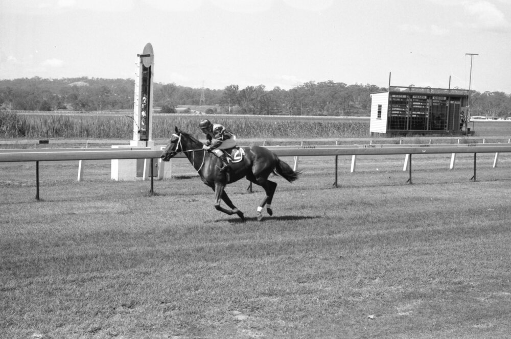 Horse racing at the Ipswich Turf Club, Bundamba, Ipswich, April 1978