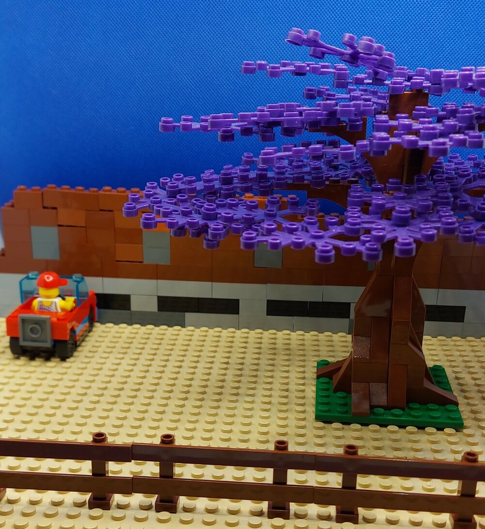 Brickswich version of Jacaranda trees at Jacaranda Butter Milk Factory, Booval, Ipswich, from 1970