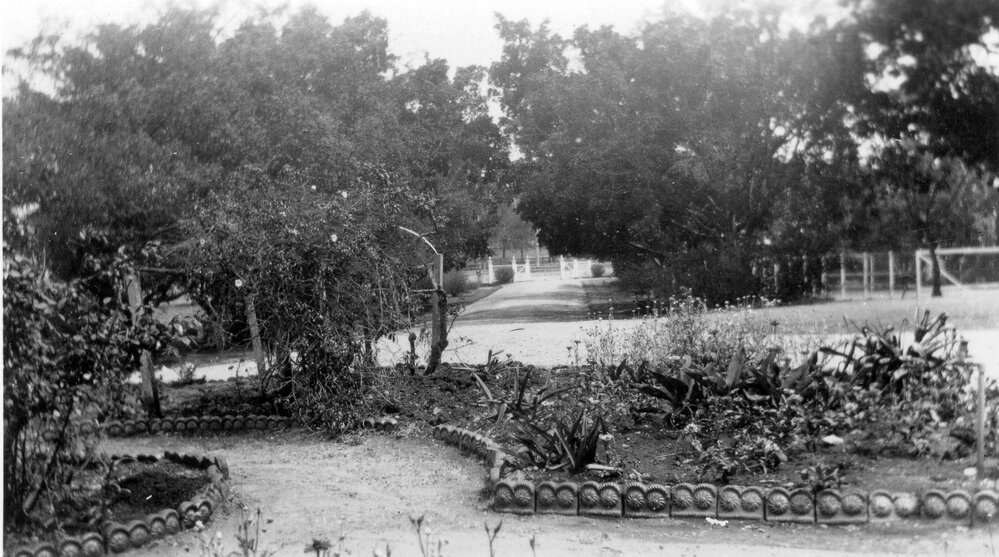 Gardens and main drive at Ipswich Girls' Grammar School, 1920s
