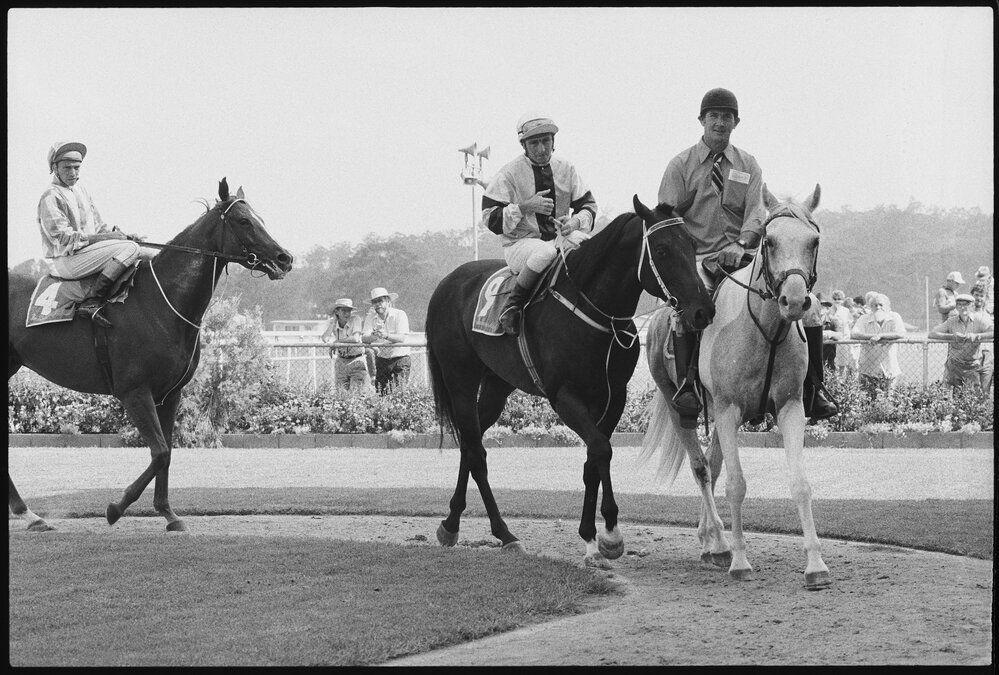 Horse racing at Ipswich Amateur Turf Club, Bundamba, Ipswich, January 1986