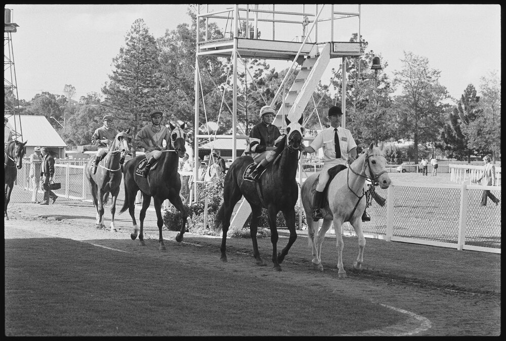Unidentified Jockeys walking their horses, Ipswich Turf Club, Bundamba, Ipswich September 1987