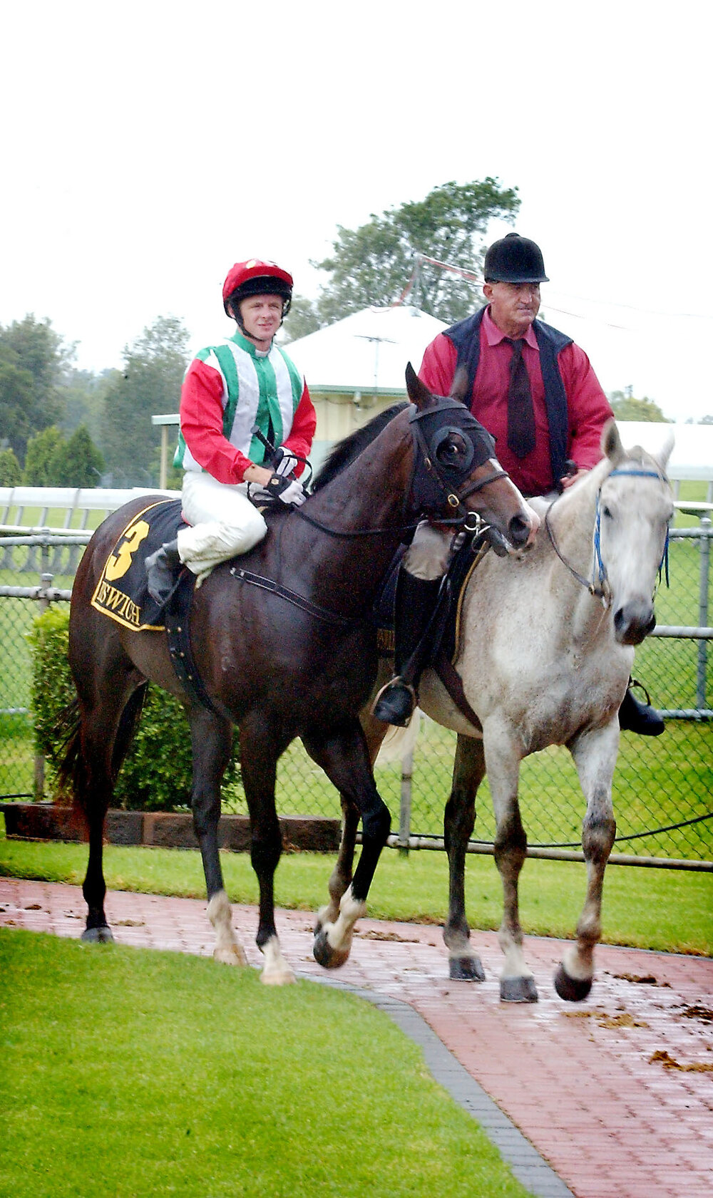 Rider no. 3 is lead back in after winning the Ipswich Races 2.10pm race, Ipswich, December 2003