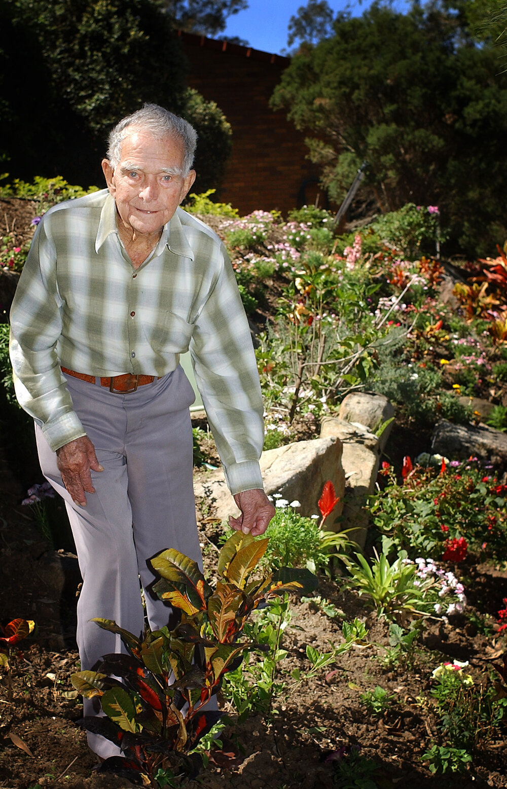 Charlie Schneider in a garden, Ipswich, September 2003
