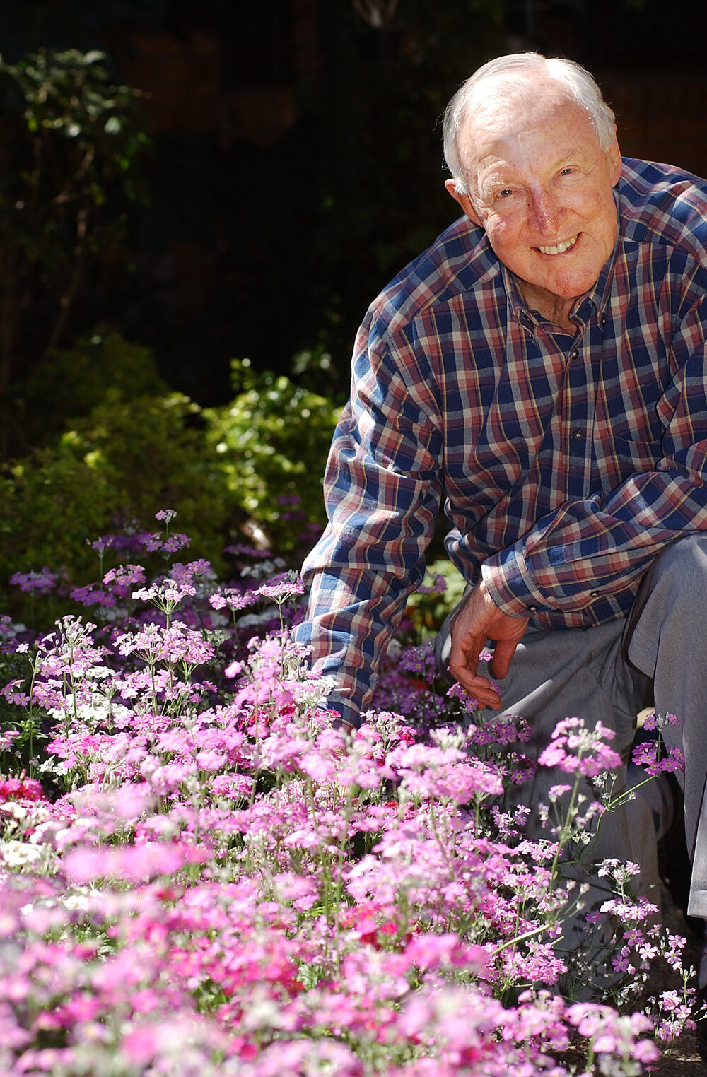 Major Prize Winner and Best Village, Owen Lawry in garden, Ipswich, September