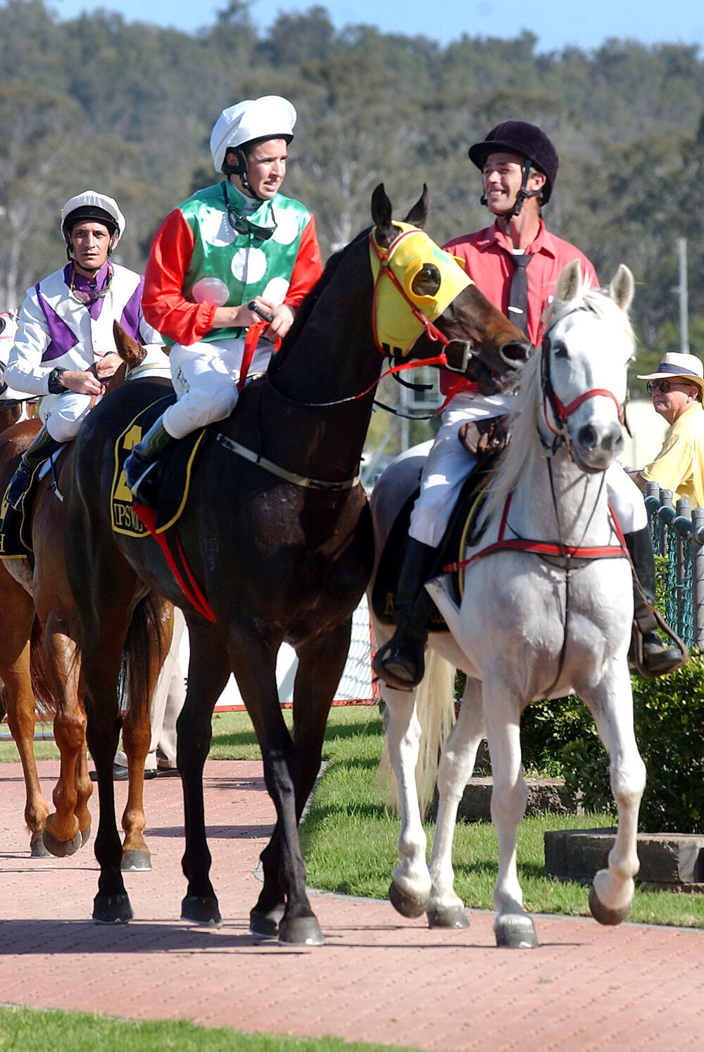 Unidentified riders at a horse race, Ipswich, September 2003