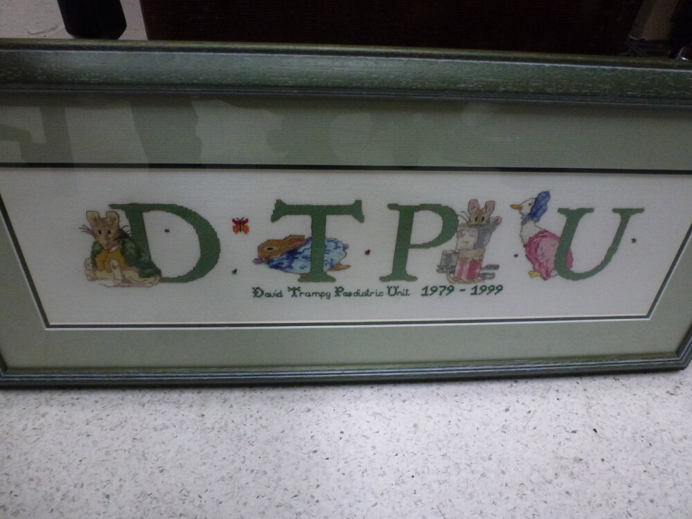 DTPU David Trumpy Pediatric Unit cross stitch banner, 1999