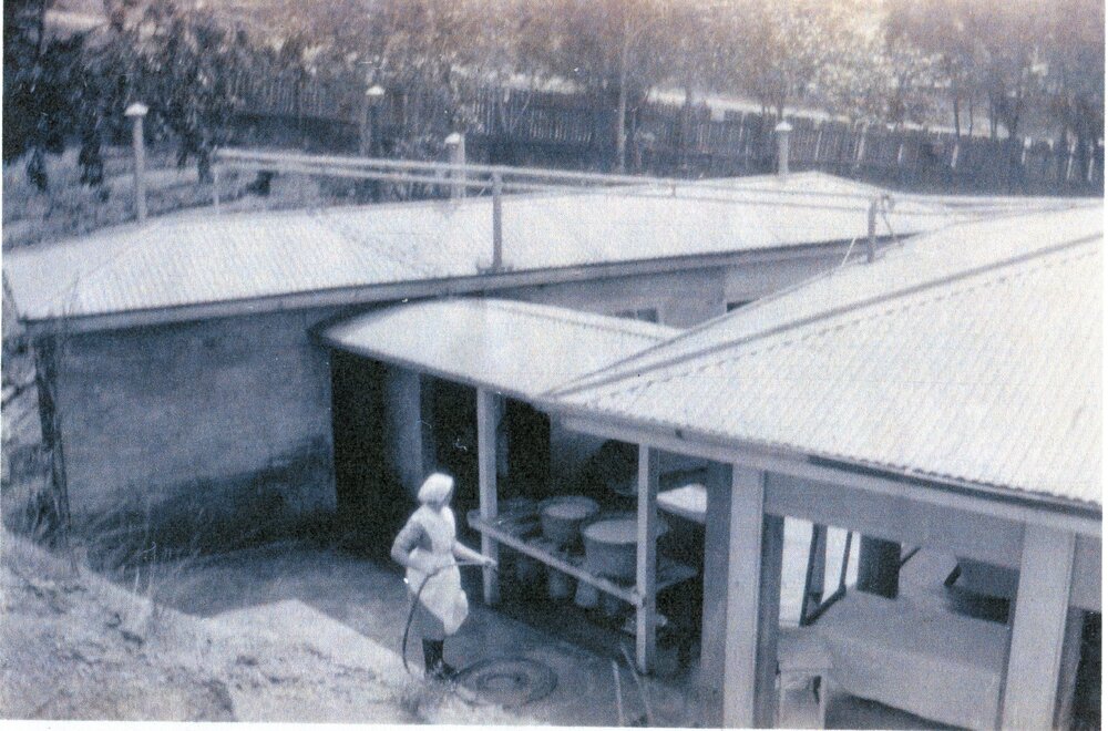 Nurse hosing laundry, Old Epidemic Ward, c1930s