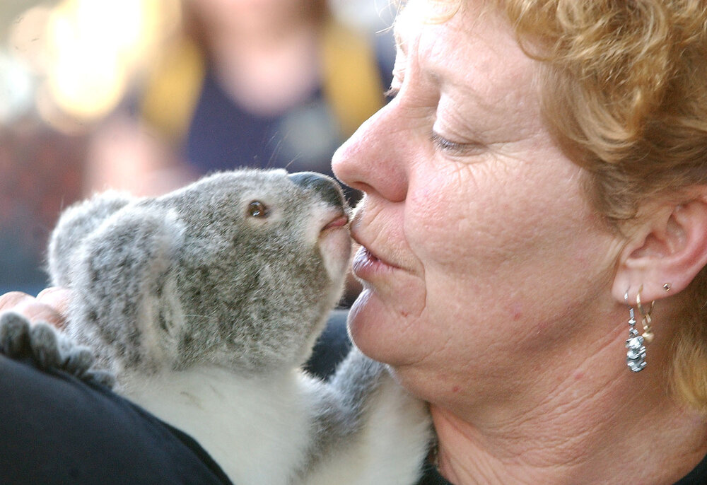 Ruth Lewis with Virginia the koala, Ipswich, June 2003