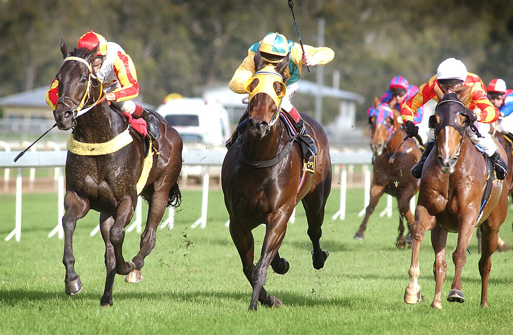 Horse racing, Ipswich, June 2003