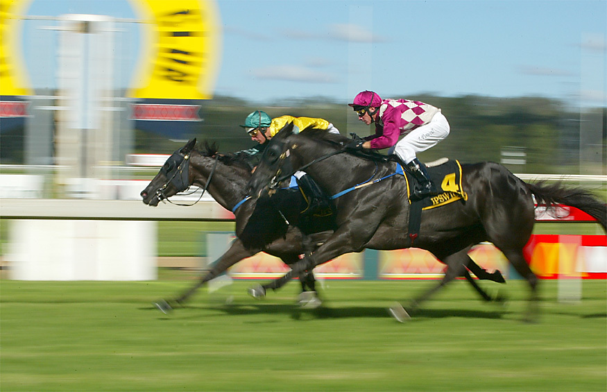 Winner of Race 6 of the horse races, Ipswich, March 2003