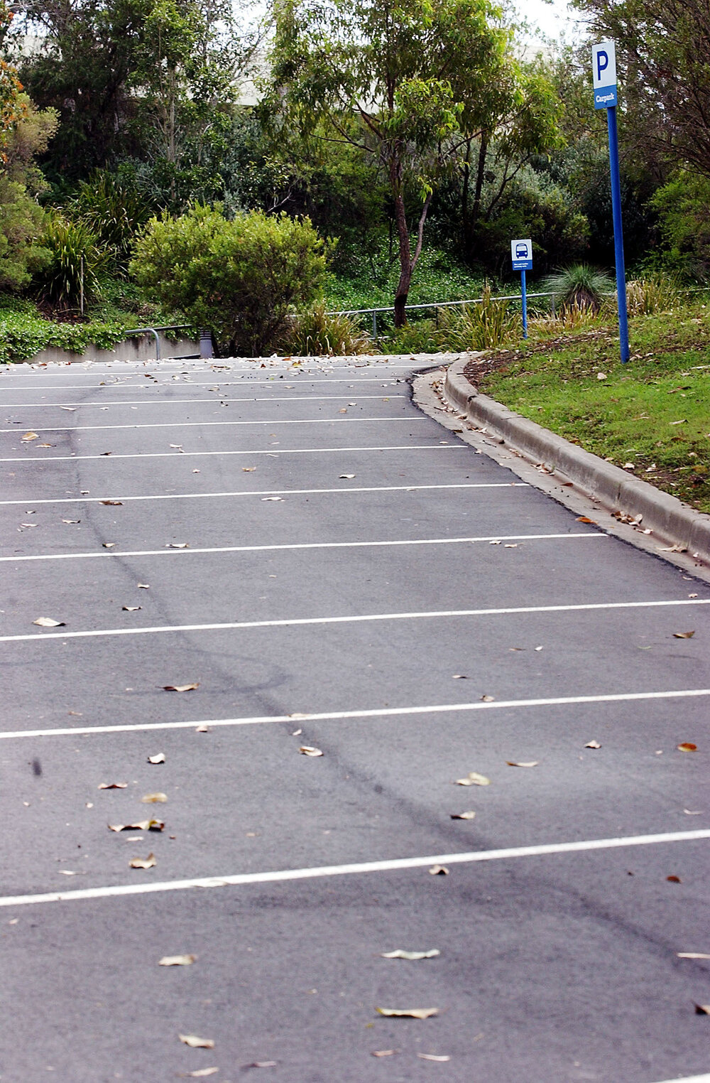 Parking bays at Wivenhoe Dam, Somerset Region, April 2003