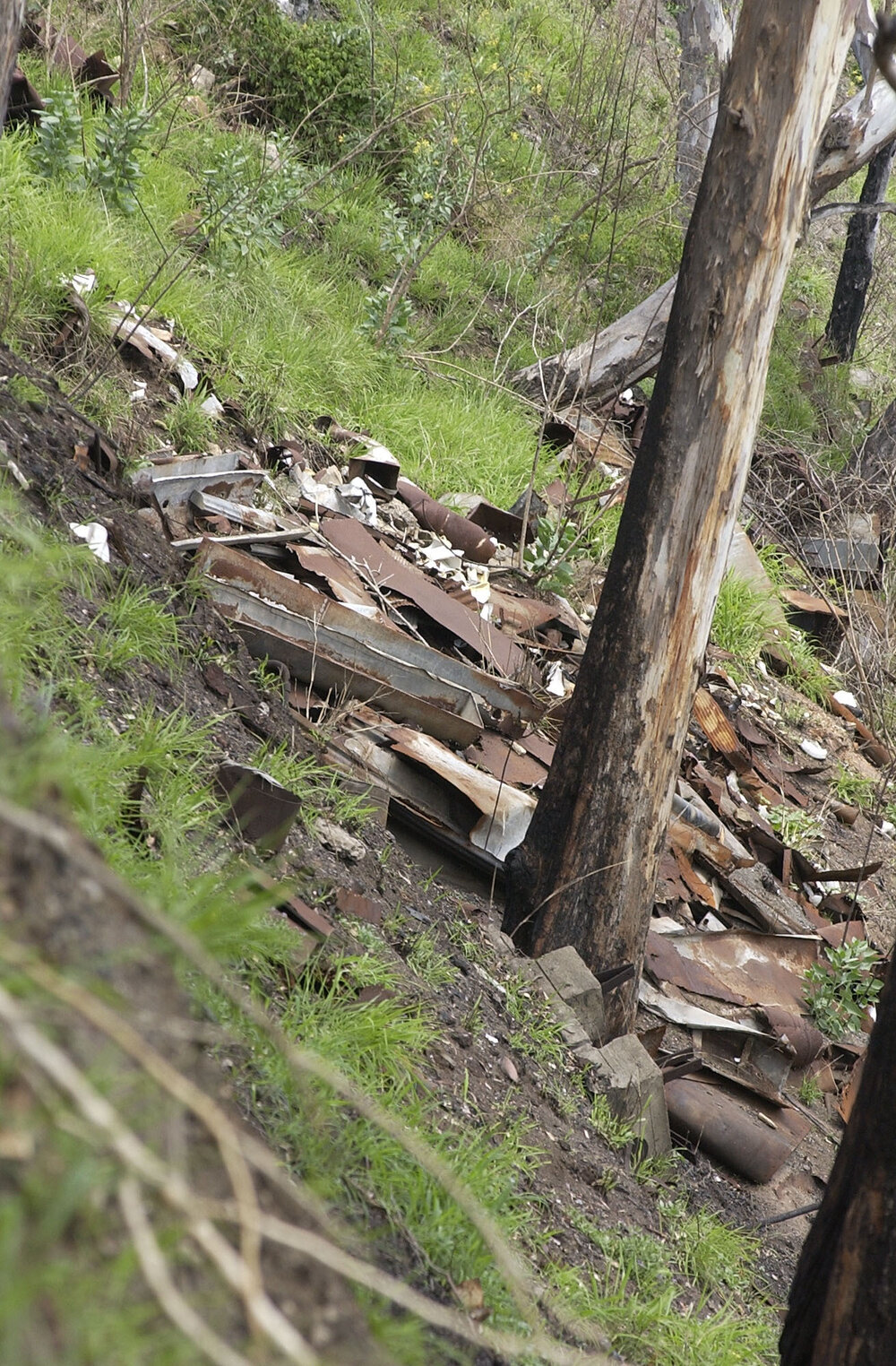 Bushfire damage, Ipswich, November 2003
