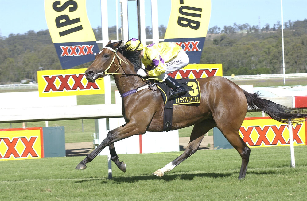 Horse racing, Ipswich, November 2003