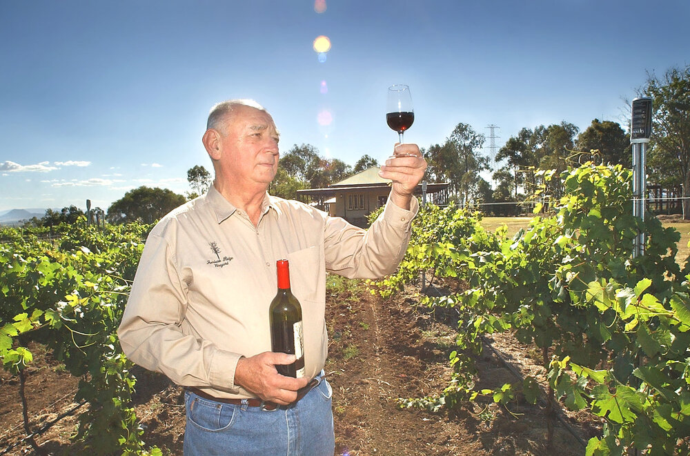 Barry Hoffensetz with a bottle of wine in a vineyard, Ipswich, November 2003