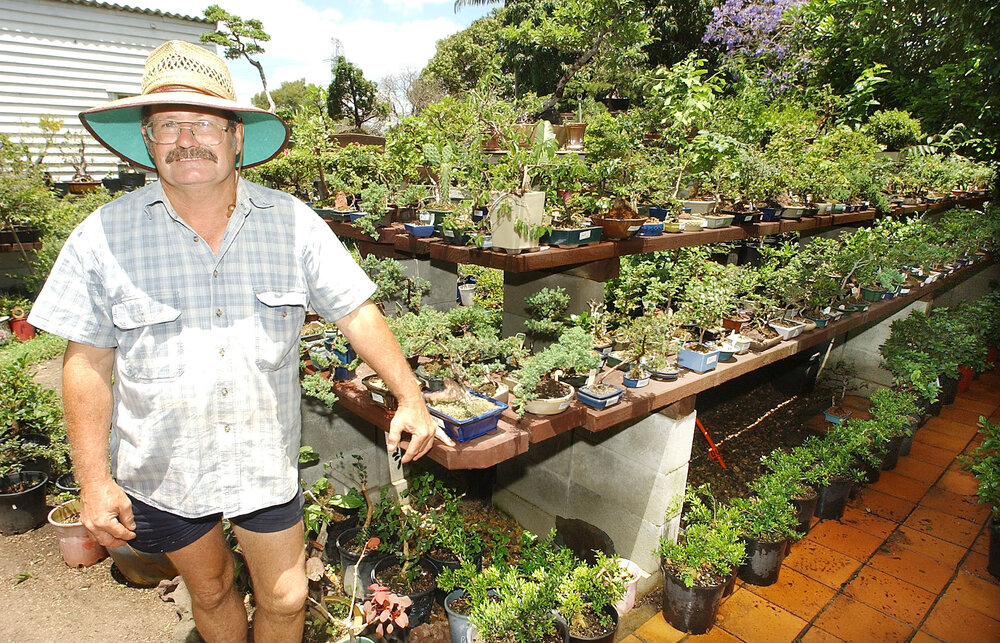 Robin Godfrey in a garden with Bonsai trees, Ipswich, November 2003