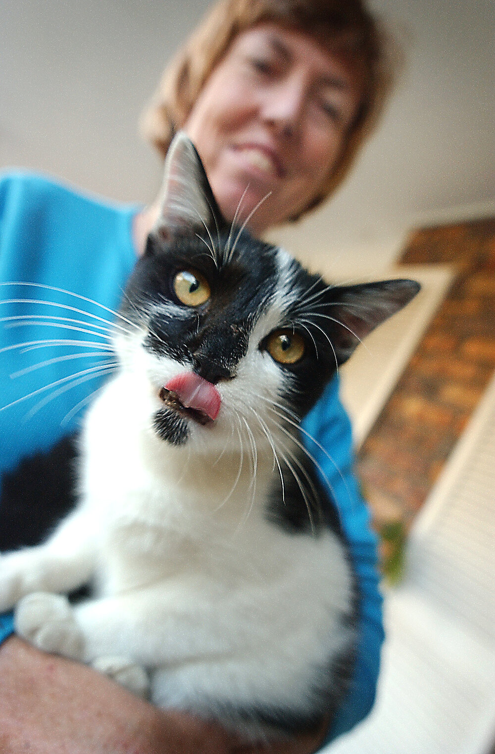 Unidentified woman with Snooki, her pet cat, Ipswich, August 2003