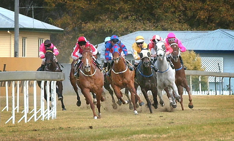 Horse racing, Ipswich, August 2003