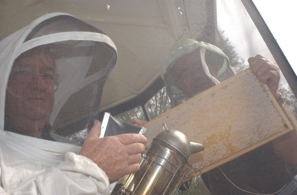 Two unidentified beekeepers, Ipswich, May 2003
