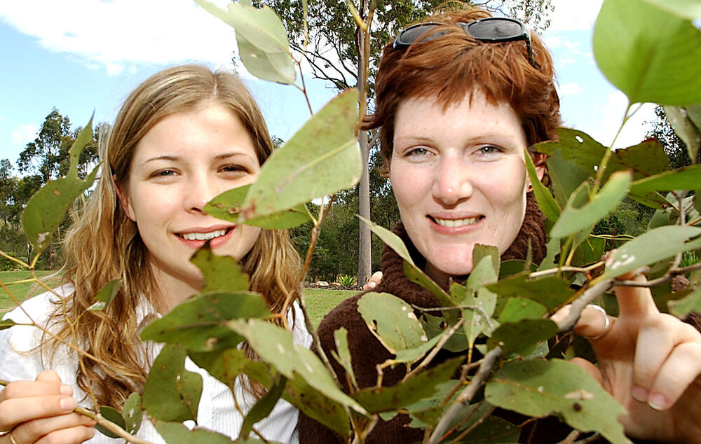 Two unidentified women, Ipswich, May 2003