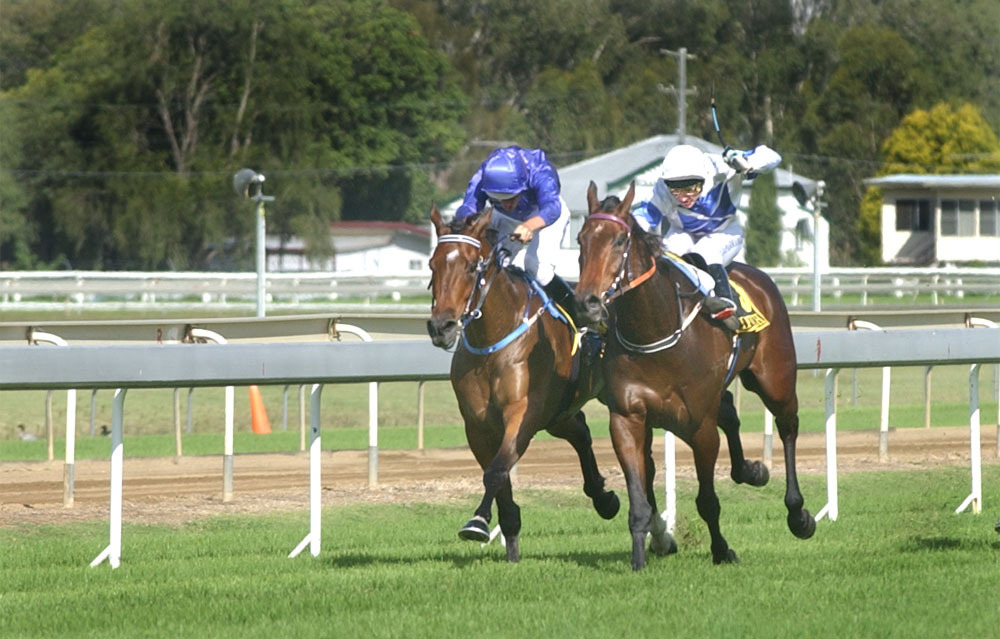 Marjories Hope (1st place rider) and North Keys (2nd place rider) at Ipswich turf club, Ipswich, May 2003