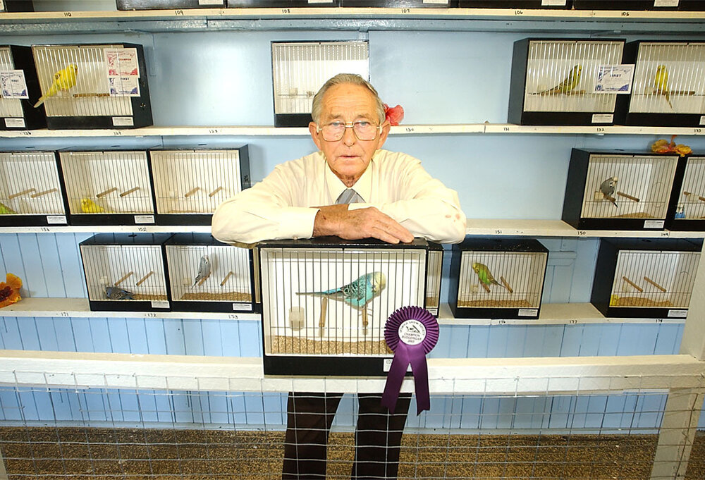Barney Hackney with Champion Budgie at the Ipswich show, May 2003