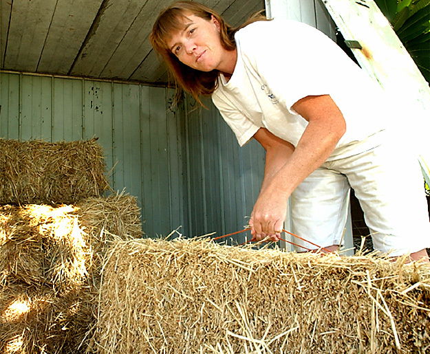 Carol Weaver, Ipswich, May 2003