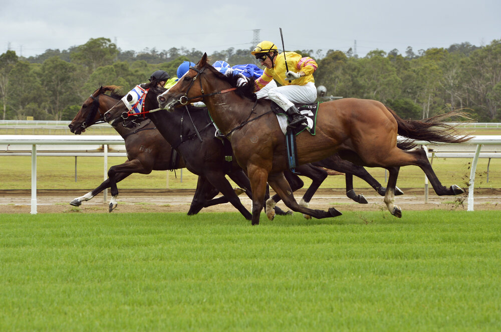 David Green (yellow silks) rides Ervbefel to win in the Terry Neale Memorial Handicap, Ipswich Turf Club, Bundamba, Ipswich, January 2013