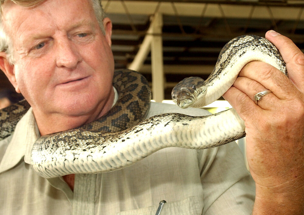 Steve Robinson with a 2m Carpet Python at the Ipswich Show, Ipswich, May 2003