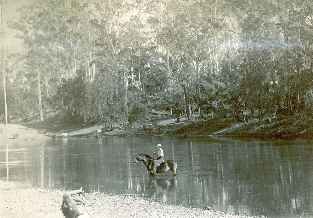 Unidentified man on horseback in river, thought to be Ipswich area, 1889-1890