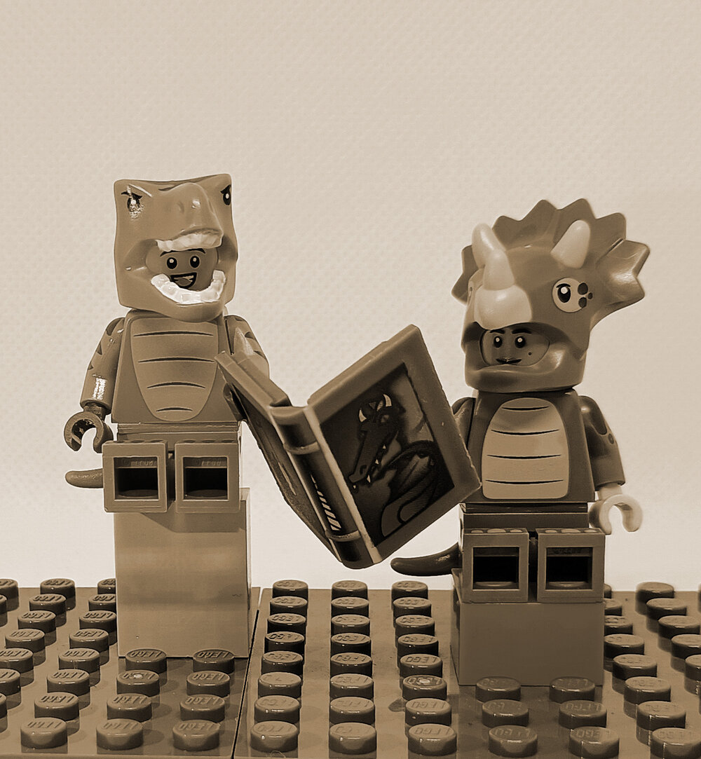 Brickswich version of Formal portrait of a man and woman reading a book, Brisbane, Queensland c.1865-1882