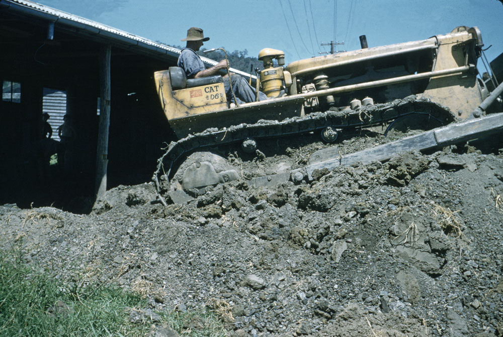 Land clearing on a farm, Rosewood,  Ipswich, 1950s