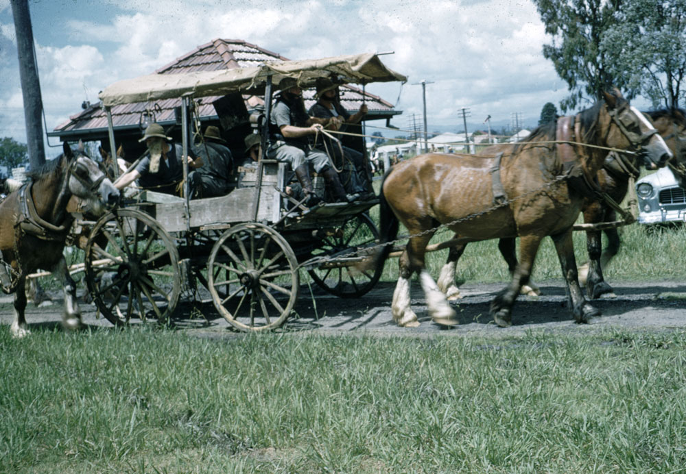 Old wagon originally used by R. Sellars, in procession in Rosewood, Ipswich, 1960s