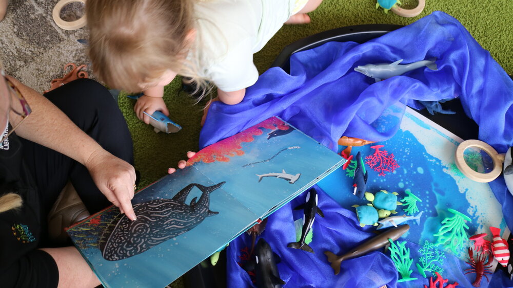 First 5 Forever's Dive into Books program at Rosewood Library, Rosewood, Ipswich, 2022